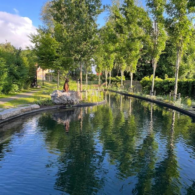 natuurlijke zwemvijver 